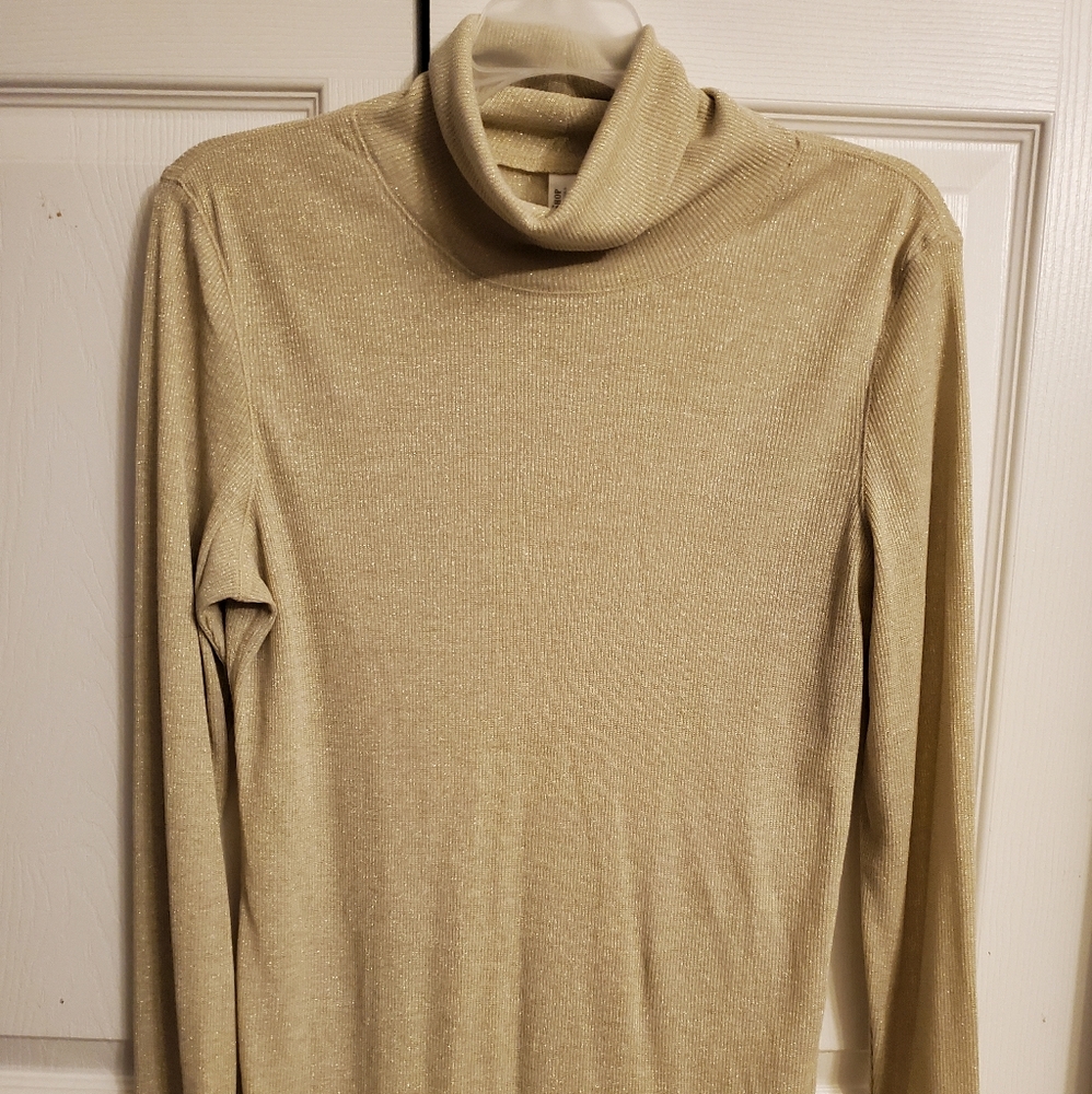 Tee Shop Brand Beige/Cream long sleeve turtle-neck